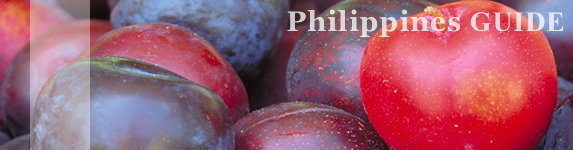 フィリピン・ガイド｜イメージ写真